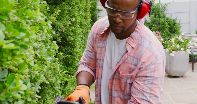 African American man trimming hedge to shape hedge on paved path, powering red trimmer with gloves