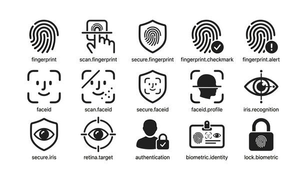Biometric security icons: fingerprint, face id, iris recognition, retina target, authentication