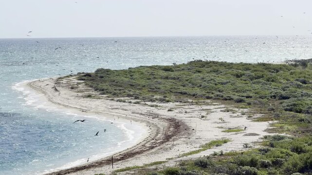 Telephoto Pan of Dry Tortugas Beach Spit with Frigatebirds