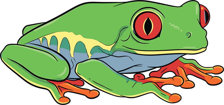 Colorful Red-Eyed Tree Frog Illustration for Animal, Nature, and Wildlife Designs