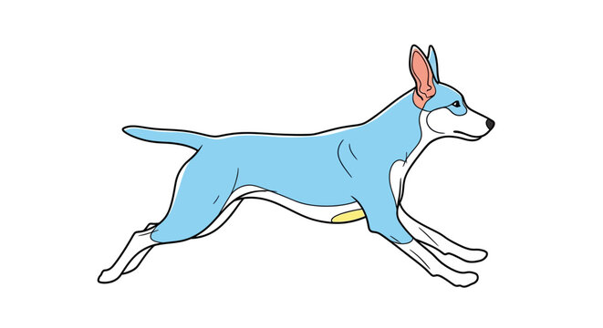 Blue dog running fast outside.