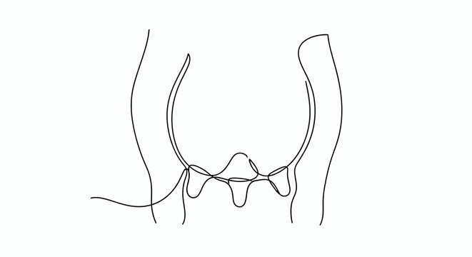 Continuous one line drawing of a cow udder