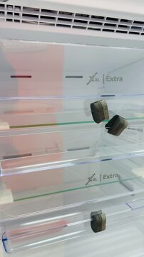 Clean refrigerator vegetable shelf with transparent crisper drawer, glass shelf, cool blue LED, spotless white interior, visible.