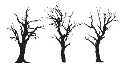 Fototapeta premium Silhouette of Barren Trees: Striking silhouettes of leafless trees stand tall, their intricate branches reaching towards the sky, evoking a sense of stark beauty.