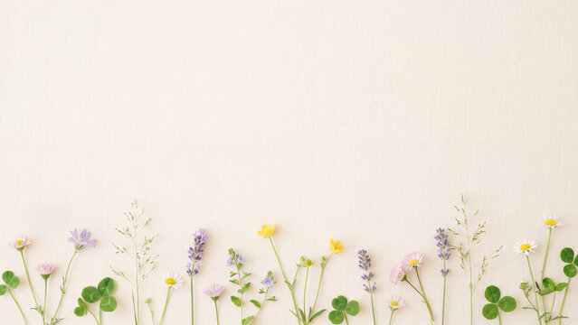 ラベンダーが可愛い春の野原のメッセージカード用背景イラスト。パステルカラーの野花と新緑が彩るナチュラルなボタニカルフレーム背景素材。