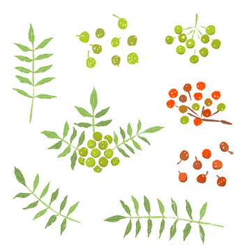 Sansho Plant Elements Set (Branches, Leaves, Berries)