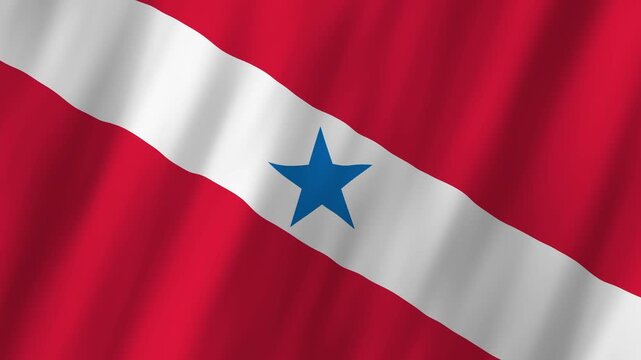Para State Flag Brazil 4K Realistic Waving Bandeira do Para Animation