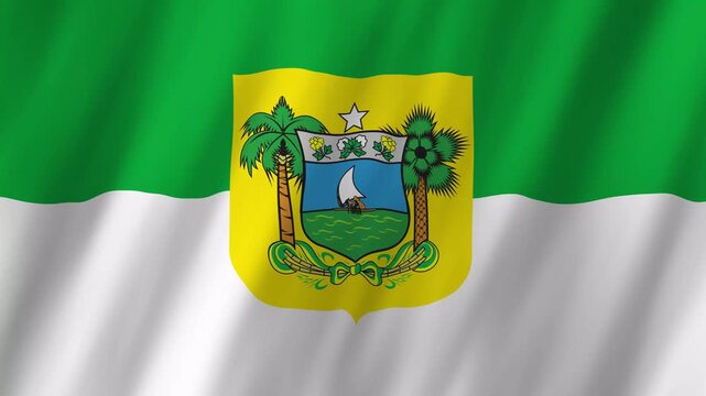 Rio Grande do Norte State Flag Brazil 4K Realistic Waving Bandeira do RN