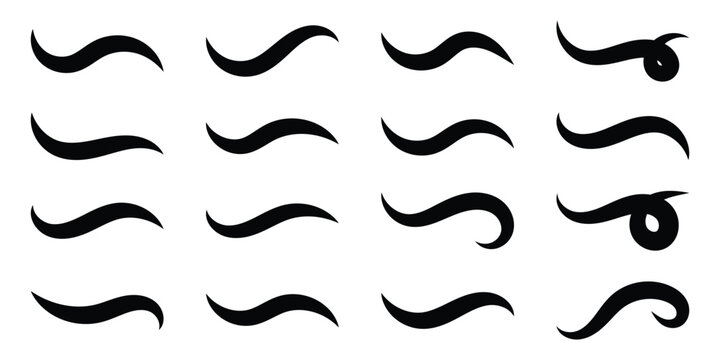 Calligraphic swoosh tail set, underline brush. Swooshes tails icon, typography font curve tail, text swooshes collection, calligraphic swooshes tail set.  Vector  illustration. Eps10 .