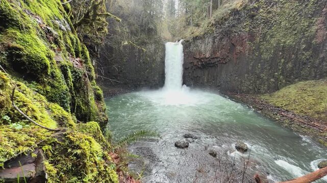 Abiqua waterfalls flowing over basalt rock cliff into pool of water deep in the forest of Oregon.