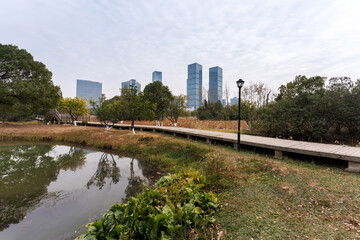 Fototapeta premium spring park and modern city
