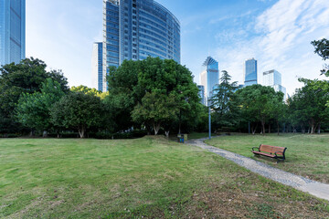 Fototapeta premium city park with modern building background in shanghai