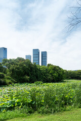 Fototapeta premium Lakeside modern office building in China