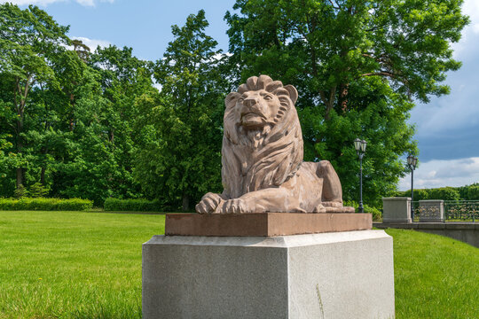Strelna, St. Petersburg, Russia, June 12, 2025: The sculpture of a lion in the Lower Park of the Palace and Park Ensemble of the Konstantinovsky Palace on a sunny summer day