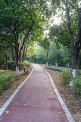 Obraz premium The road of City Park in China