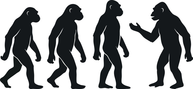 Black Primate Evolution Silhouettes in a Row on White Background.