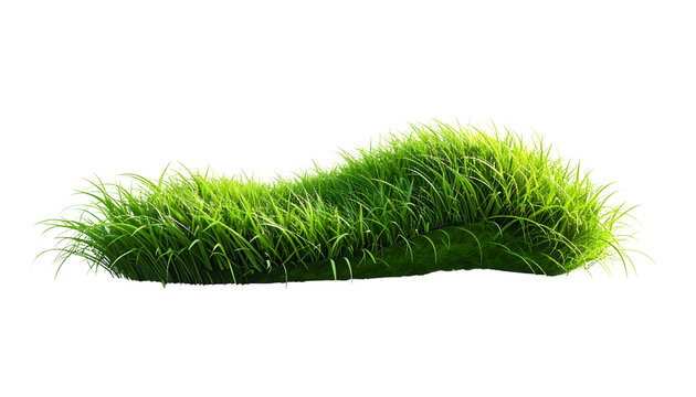 Um monte de grama verde exuberante e fresca, isolado sobre fundo branco, ideal para design e composi&ccedil;&atilde;o digital.