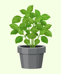 Fototapeta premium Lush green potted plant with dense foliage for interior home decoration and creating a fresh natural atmosphere in a living room