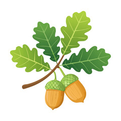 Vibrant oak leaves and acorns for seasonal autumn festival banners nature conservation awareness campaigns botanical research publications and forest theme decor graphics © color