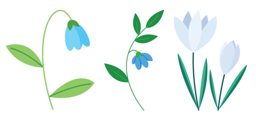 Set of hand drawn spring blossoms including drooping blue bells and upright white crocus plants for seasonal greeting card designs. © Chandan Tripathy