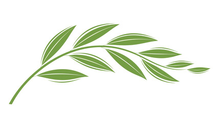 Fototapeta premium Single green leaf branch with multiple small leaves arranged in a gentle curve against a white background.