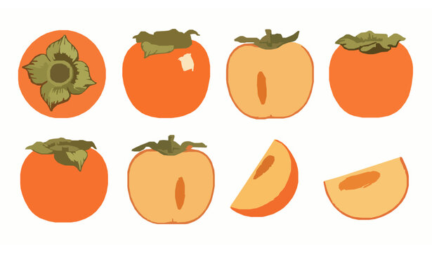 Artistic watercolor persimmon elements with sliced and whole kaki fruit for autumn harvest packaging and seasonal design