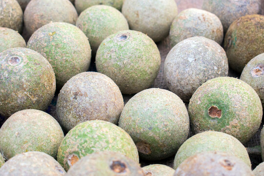 Fresh Limonia acidissima wood apple fruit at a street market stall.