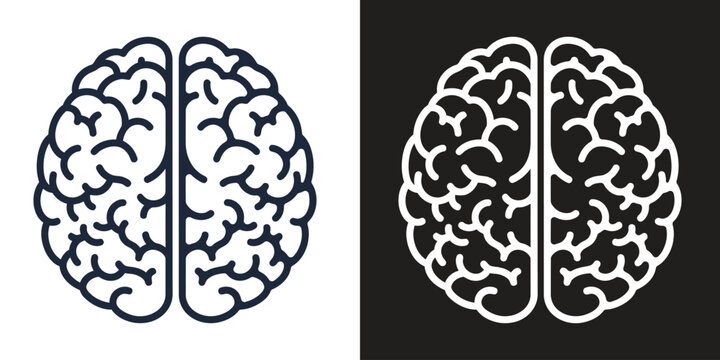 human brain hemispheres split view flat design vector illustration