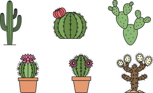 Collection of flat design cactus icons diverse desert plants in simple vector art for graphic design and illustration isolated on white