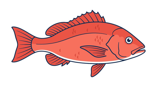 Simple flat vector of a whole snapper fish (red snapper style), clean outline, minimal detail, seafood market concept, limited color palette, isolated on white background