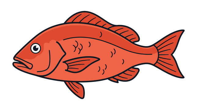 Simple flat vector of a whole snapper fish (red snapper style), clean outline, minimal detail, seafood market concept, limited color palette, isolated on white background