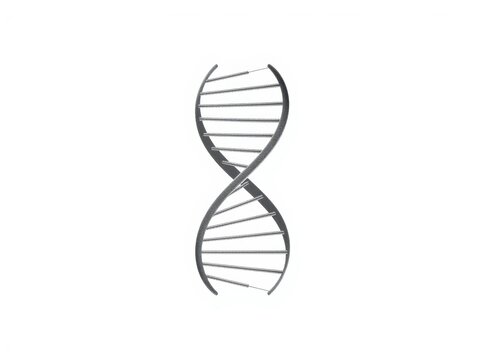 A detailed monochromatic illustration of a double helix dna structure on a clean white background isolated on white background