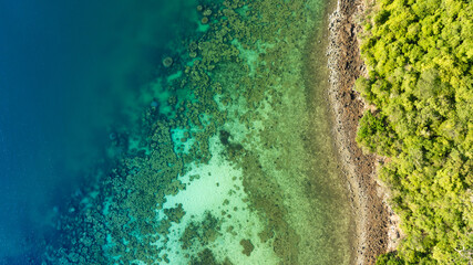 Naklejka premium Aerial view of a dense, vibrant green coastal jungle meeting dark blue ocean water. A thin, rocky beach and white foamy waves separate the rugged terrain from the sea.concept nature 