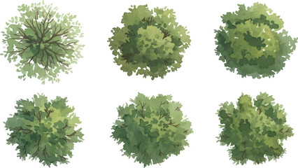 Plakat Top view tree vector set, 6 green aerial view trees for architectural site plans, landscape design elements for masterplan and garden mapping