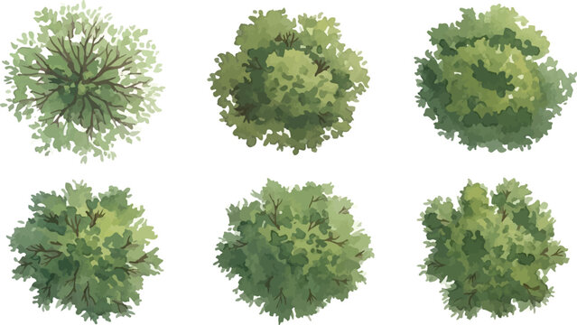 Top view tree vector set, 6 green aerial view trees for architectural site plans, landscape design elements for masterplan and garden mapping
