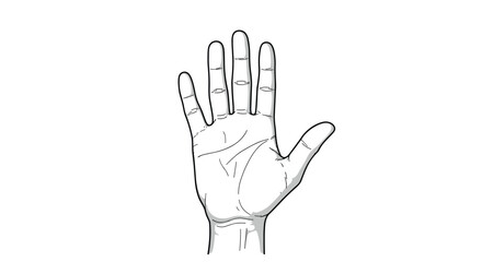 Fototapeta premium Detailed black and white line drawing of an open human palm showing major lines used in palmistry or palm reading.