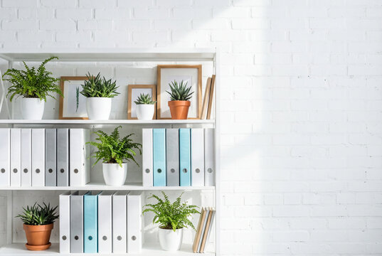 White minimalist bookshelf with potted plants and binders