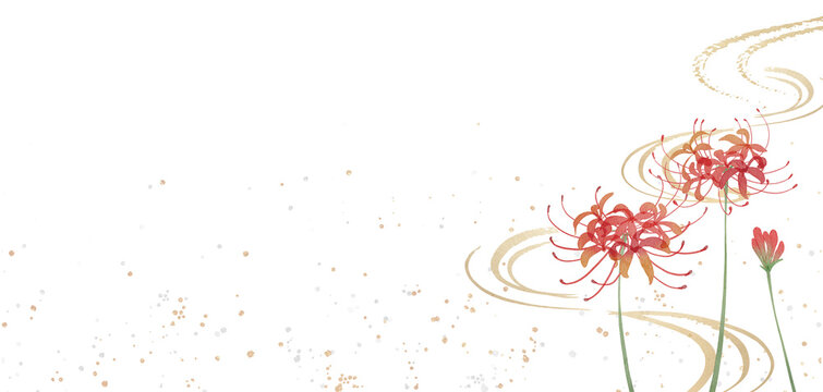 Watercolor Red Spider Lily with Japanese Gold Swirl and Washi Background. Hand-painted higanbana lycoris on transparent background with gold glitter and flowing lines PNG clipart.300dpi