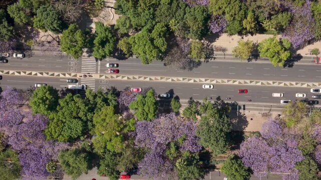 Spring colors transforming Mexico City's iconic Reforma Avenue from above