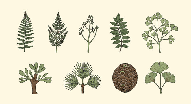 Detailed botanical illustrations of various ancient prehistoric plant species including ferns, ginkgo leaves, and a large textured pine cone.