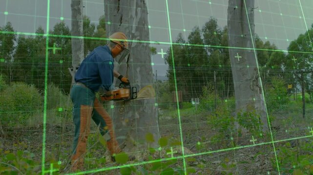 Forester pressing chainsaw to trunk, cutting deeper, clearing land with green grid tracking cut
