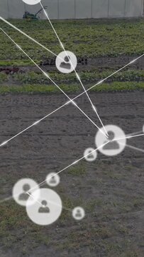 Vertical video: Farming user node network growing from sensor ping, monitoring greenhouse and crops