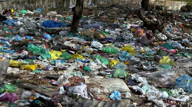 Trash pollution crisis harming earth through water pollution air pollution plastic polythene diapers waste destroying environment threatening health ecosystems future generations worldwide