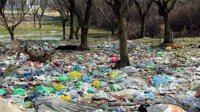 Trash pollution crisis harming earth through water pollution air pollution plastic polythene diapers waste destroying environment threatening health ecosystems future generations worldwide