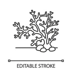 Aquarium plant linear icon. Coral, seaweed. Thin line illustration. Fishbowl decoration. Contour symbol. Vector isolated outline drawing. Editable stroke © Lovely