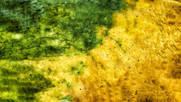 Abstract grunge texture background with organic green and yellow tones, featuring rough surface details, vintage distressed effect, and artistic color blend.