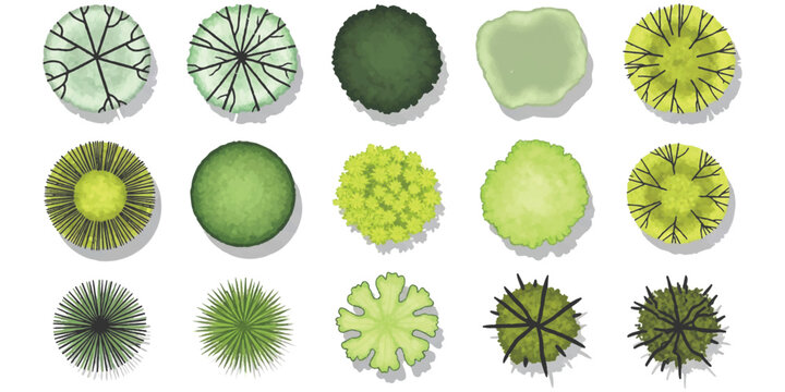 A collection of fifteen diverse top view tree icons for landscape architecture and design plans isolated on white background, Vector, illustration