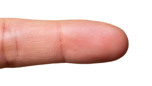 Close-up human index finger, displaying detailed skin texture and prominent fingerprint ridges