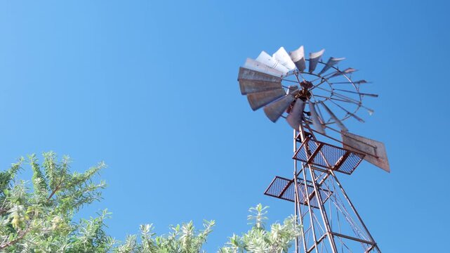 Upward view over bush of spinning metal windmill pumping water from borehole