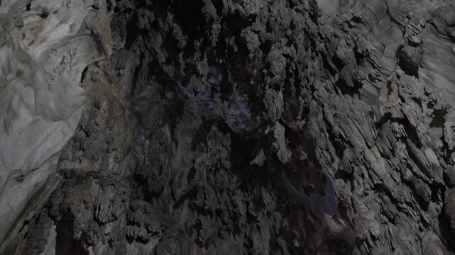 Limestone Formations Of The Cathedral Cave At The Batu Caves Temple Complex In Selangor, Malaysia. Tilt-down Shot